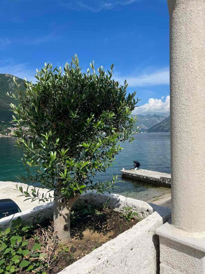 Sea Front 171 Lägenhet Kotor Exteriör bild